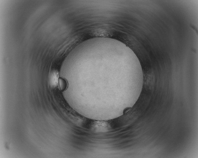 X0000103900095200809191248