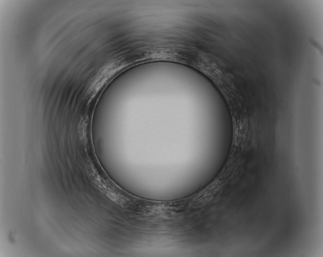 X0000103900098200809191248