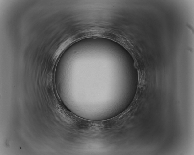 X0000103900099200809191248