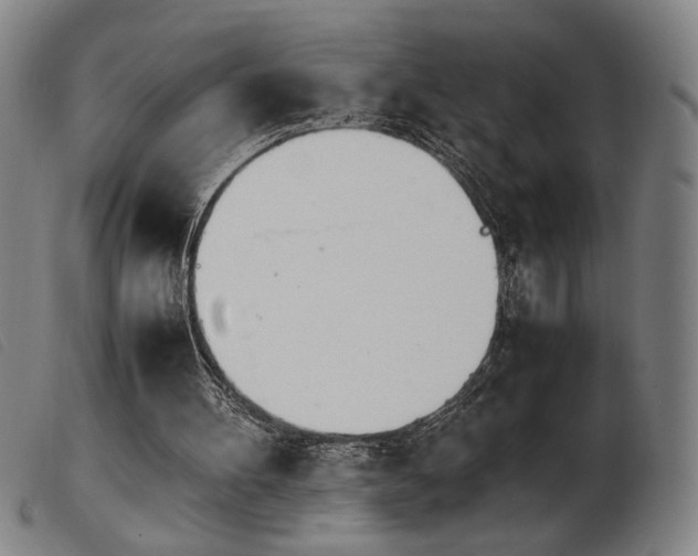 X0000103900100200809191248