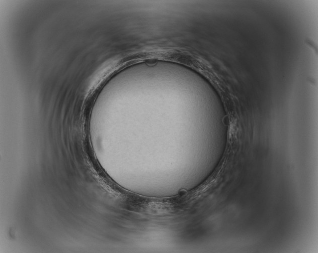 X0000103900101200809191248