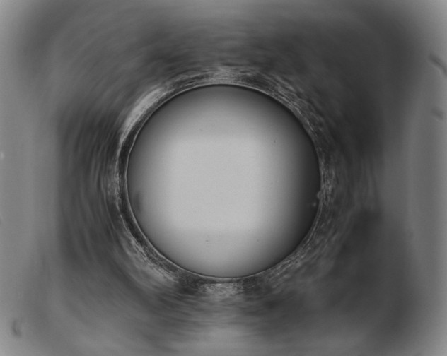 X0000103900102200809191248