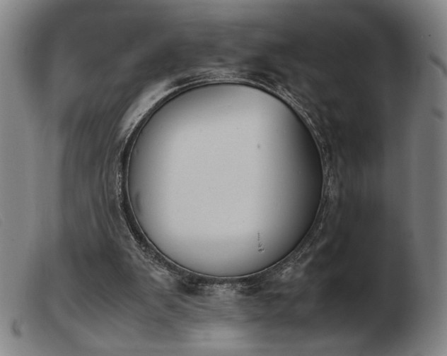 X0000103900103200809191248