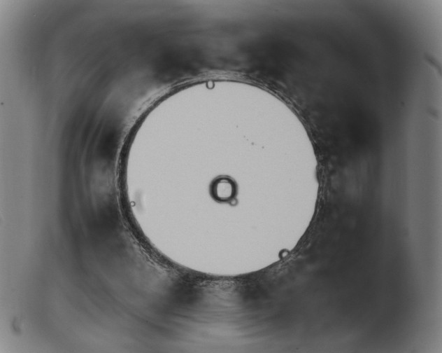 X0000103900104200809191248