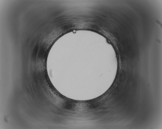 X0000103900105200809191248
