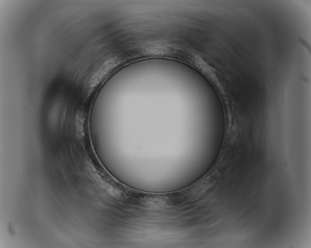 X0000103900106200809191248