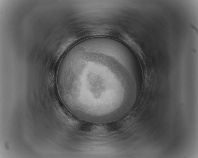 X0000103900107200809191248