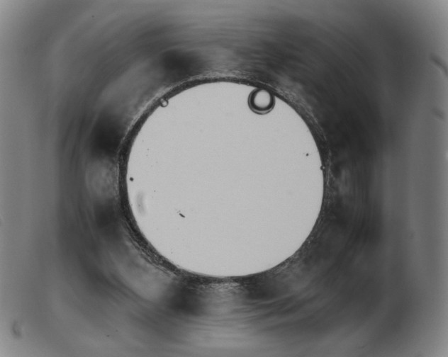 X0000103900108200809191248