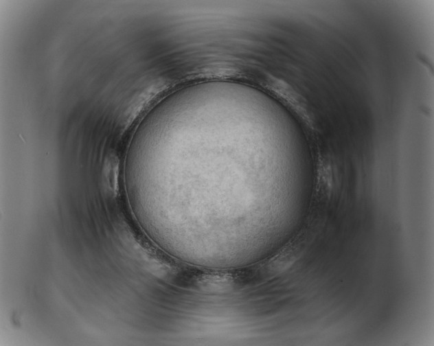 X0000103900110200809191248