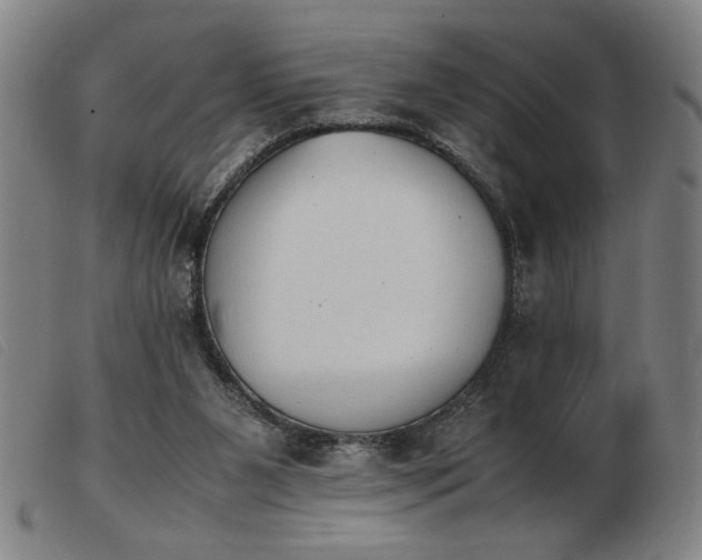 X0000103900111200809191248
