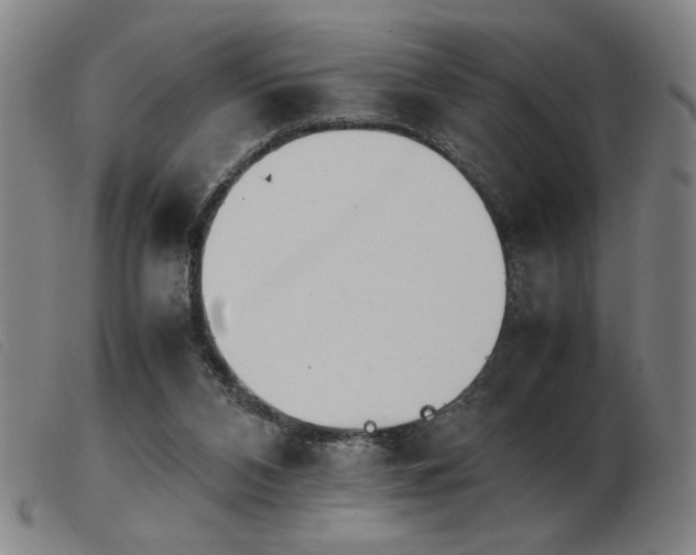 X0000103900112200809191248