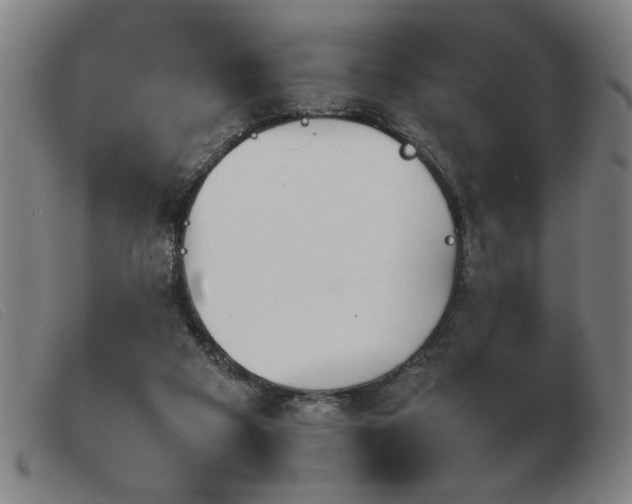 X0000103900113200809191248