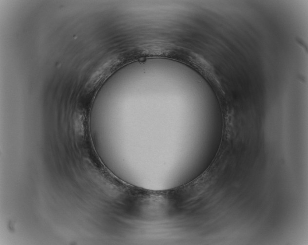 X0000103900114200809191248