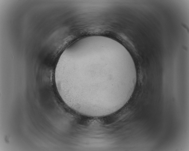 X0000103900115200809191248