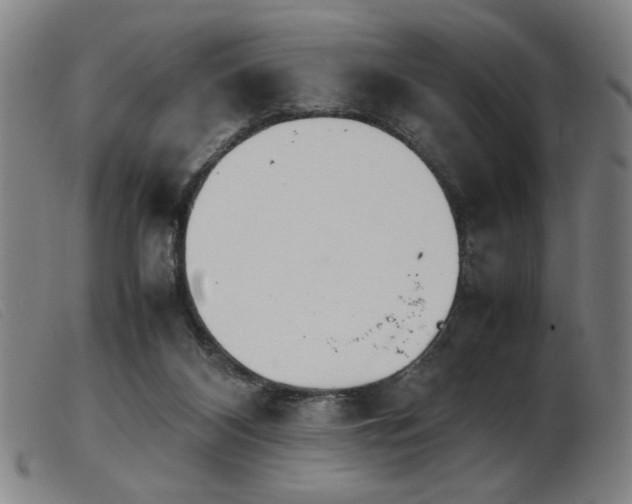 X0000103900116200809191248