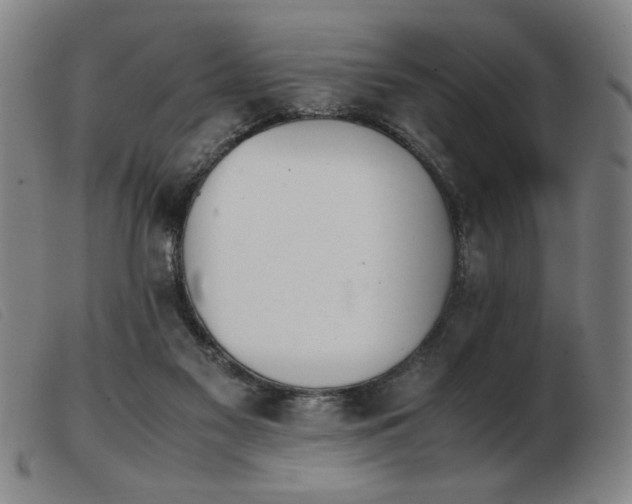 X0000103900117200809191248
