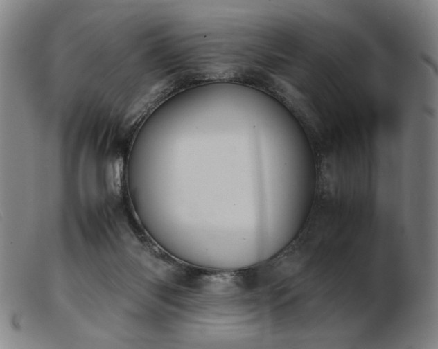 X0000103900118200809191248