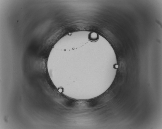 X0000103900121200809191247