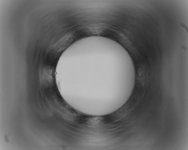 X0000103900122200809191247