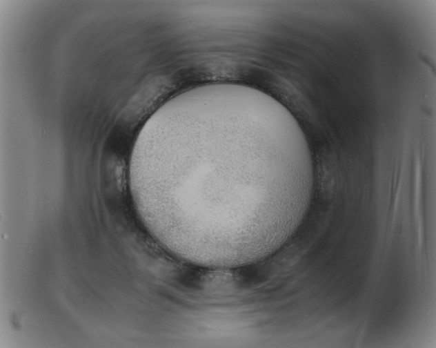 X0000103900123200809191247