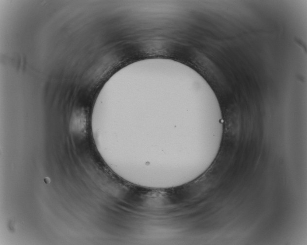 X0000103900124200809191247