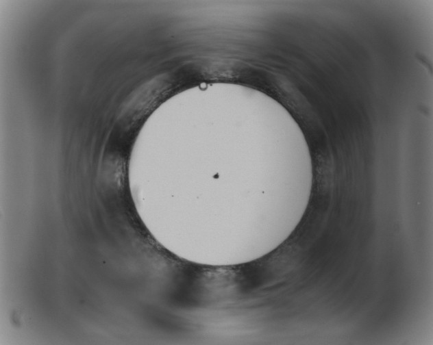 X0000103900125200809191247