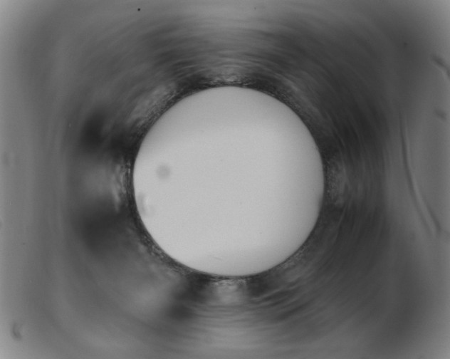X0000103900126200809191247
