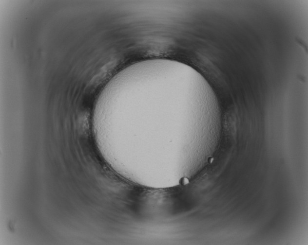X0000103900127200809191247