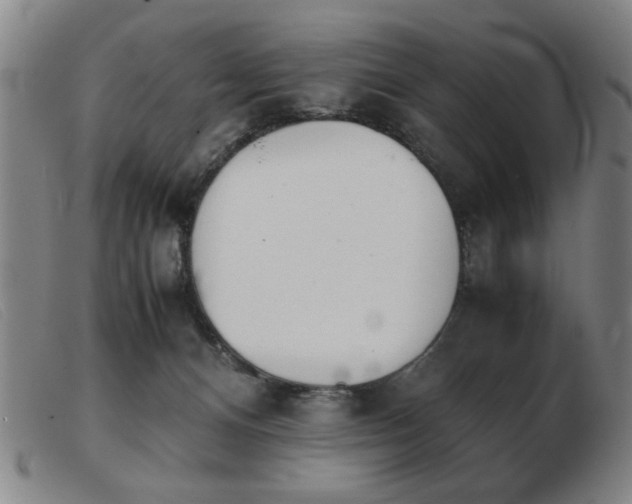 X0000103900128200809191247