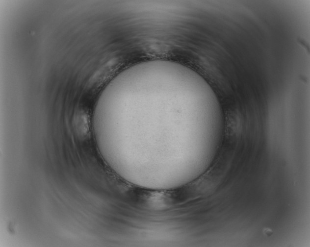 X0000103900130200809191247