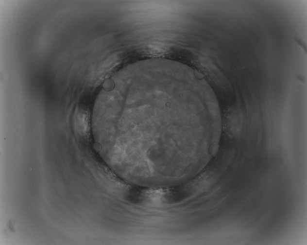 X0000103900131200809191247