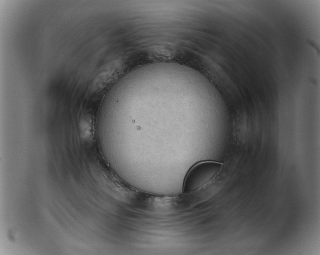 X0000103900134200809191247