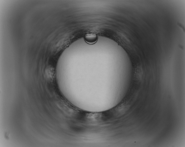 X0000103900135200809191247