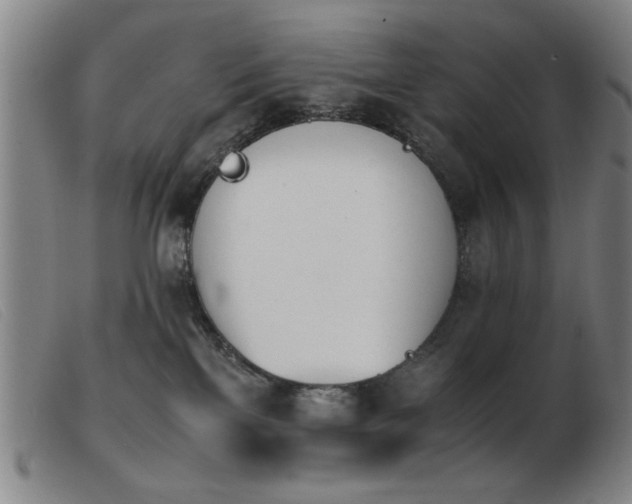 X0000103900137200809191247