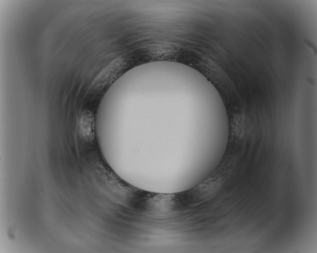 X0000103900138200809191247