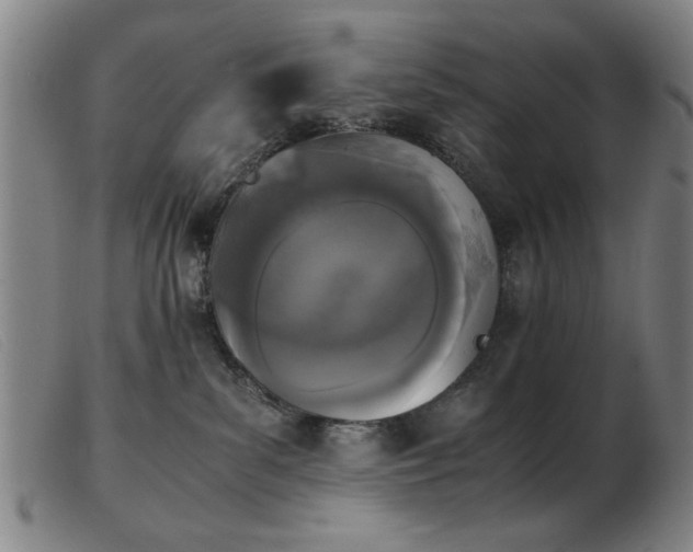 X0000103900139200809191247