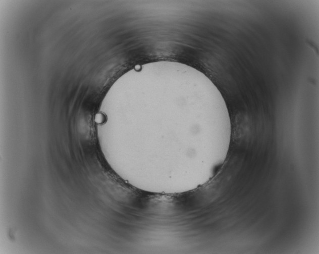 X0000103900140200809191247