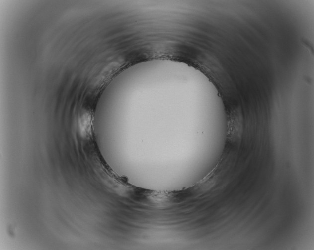 X0000103900142200809191247