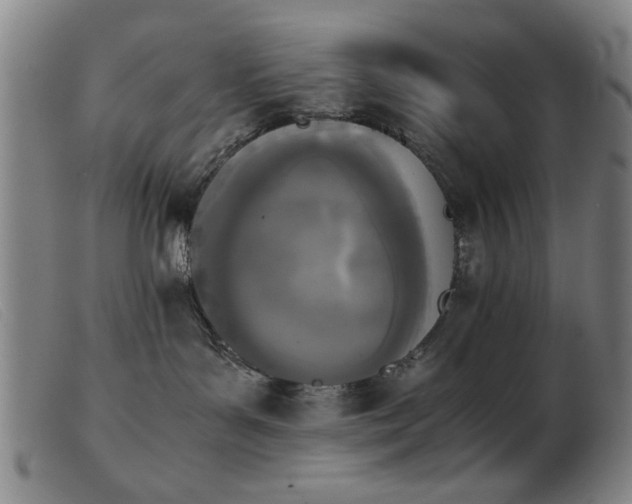 X0000103900143200809191247
