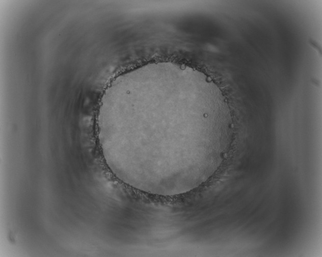 X0000103900144200809191247