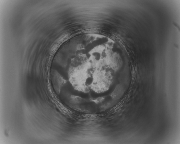 X0000103900145200809191246