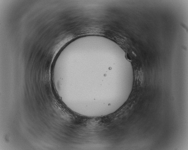 X0000103900148200809191247