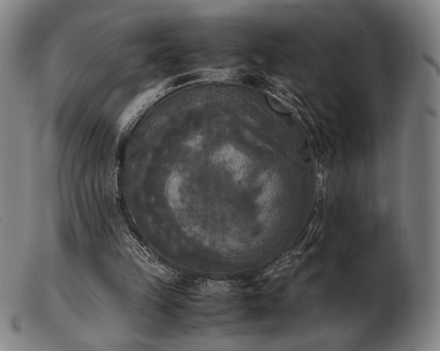 X0000103900149200809191247