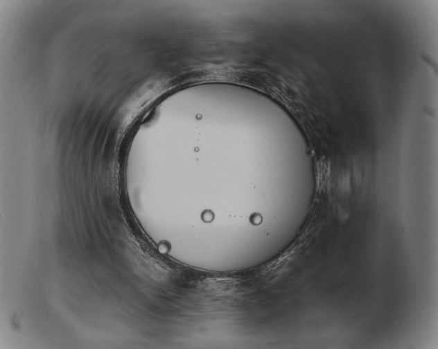 X0000103900150200809191247