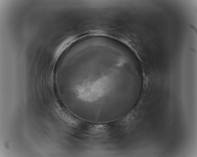 X0000103900151200809191247