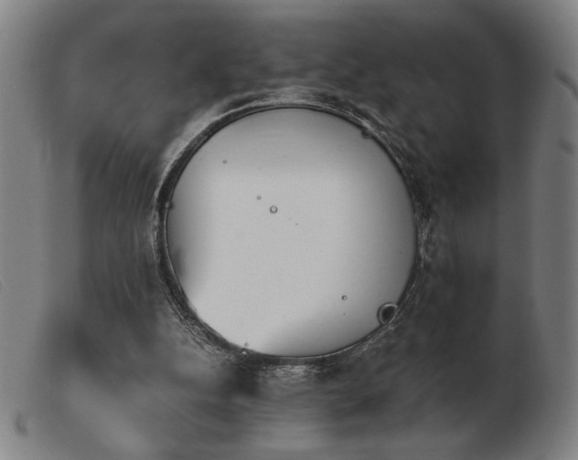 X0000103900152200809191247