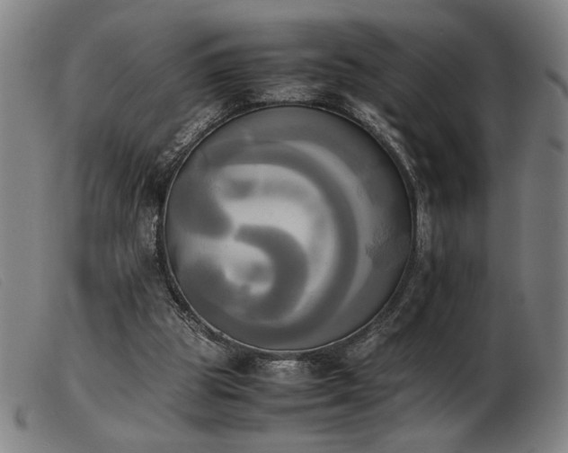 X0000103900153200809191247