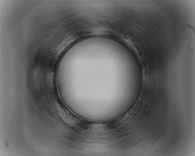 X0000103900154200809191247