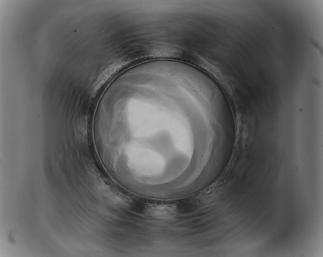 X0000103900155200809191247
