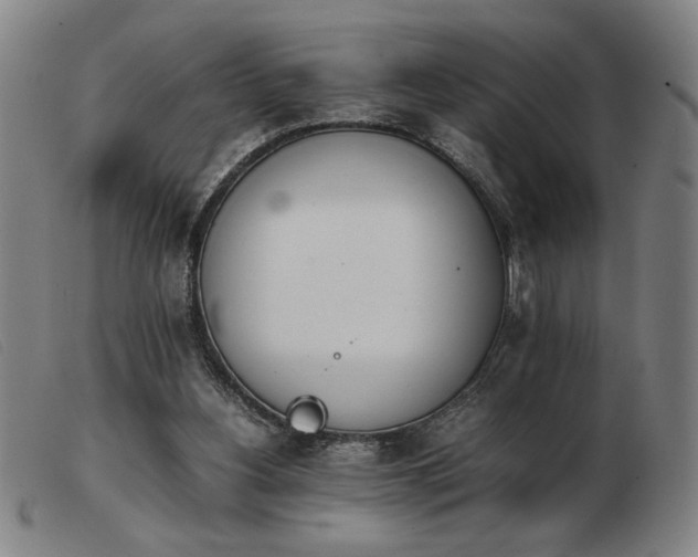 X0000103900156200809191247